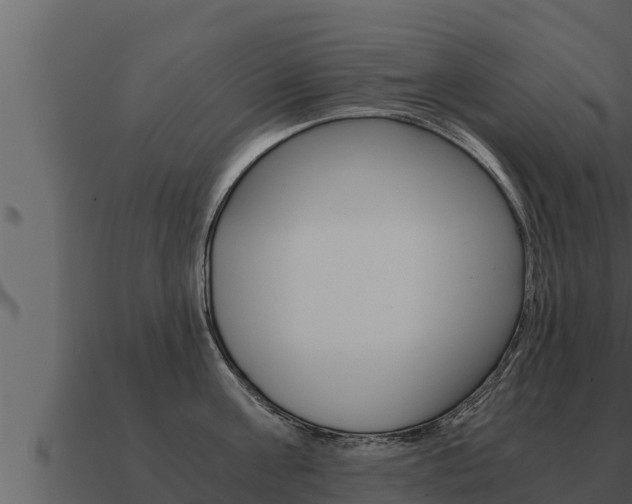 X0000091100811200708061021