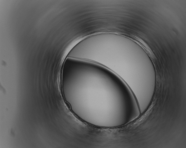 X0000091100812200708061021