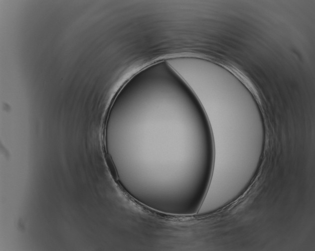 X0000091100813200708061021