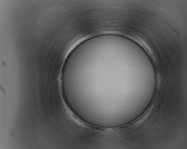 X0000091100814200708061021