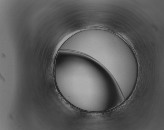 X0000091100816200708061021