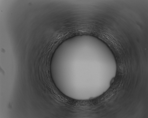 X0000091100817200708061020