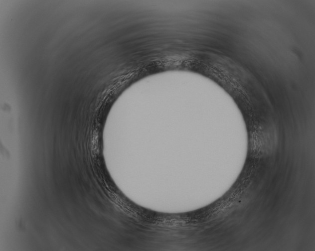 X0000091100820200708061020