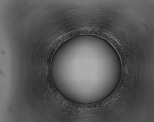 X0000091100821200708061020