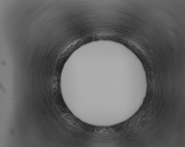 X0000091100824200708061020