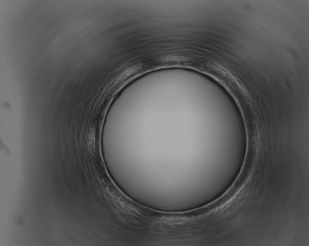 X0000091100825200708061020