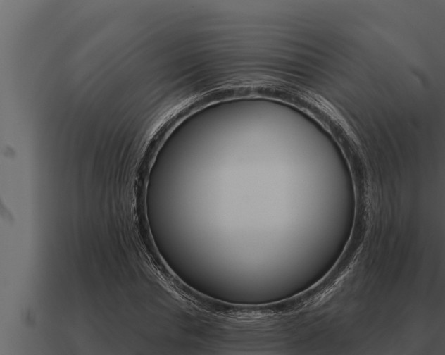 X0000091100826200708061020