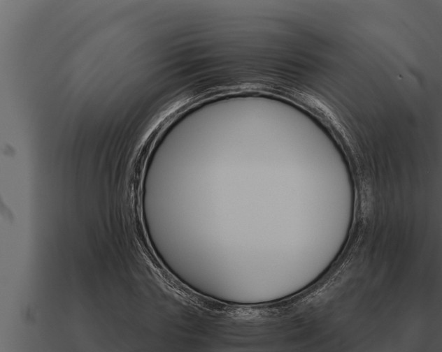X0000091100827200708061020