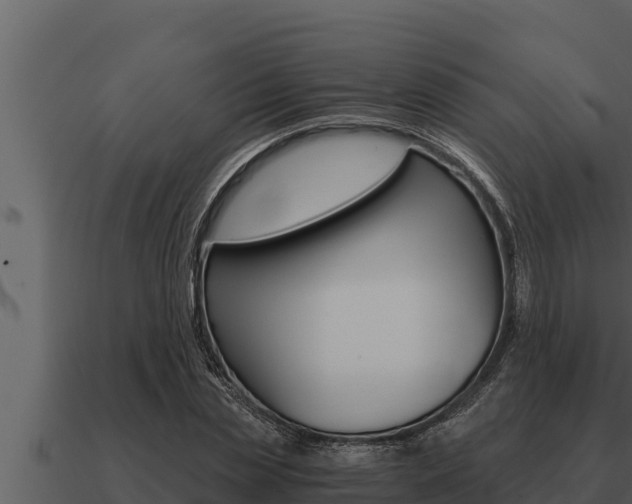 X0000091100829200708061020