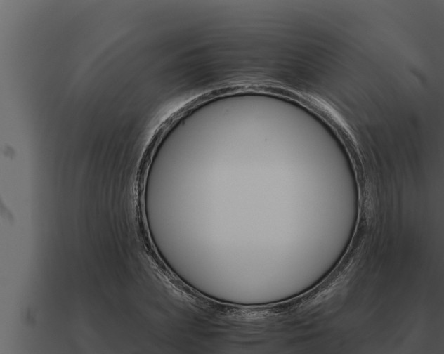 X0000091100831200708061020