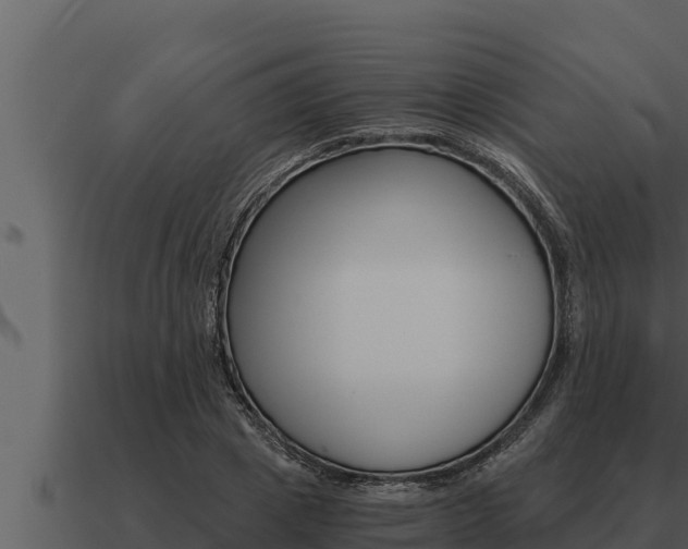 X0000091100833200708061020