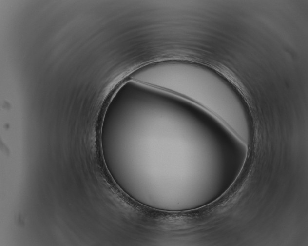X0000091100834200708061020