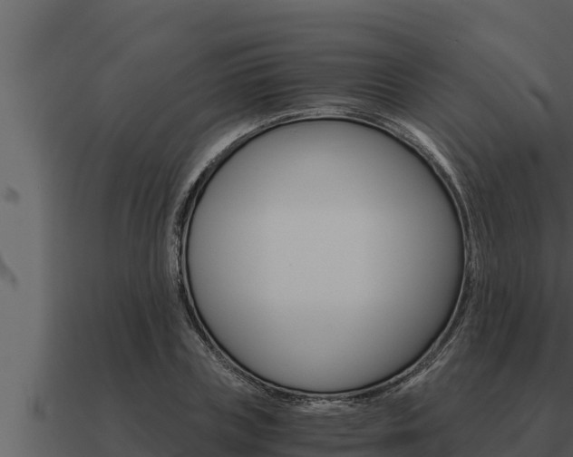 X0000091100835200708061020
