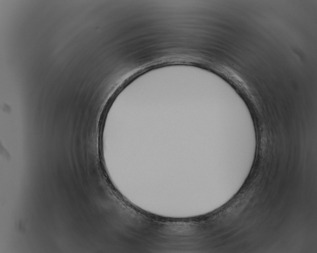 X0000091100836200708061020