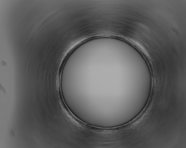 X0000091100839200708061020