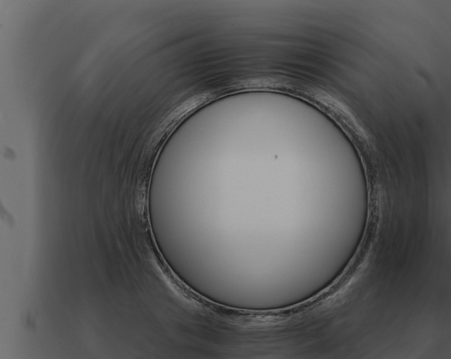 X0000091100841200708061020