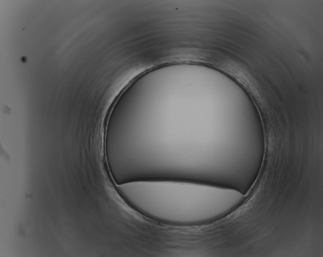 X0000091100844200708061020