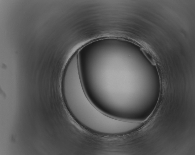 X0000091100846200708061020