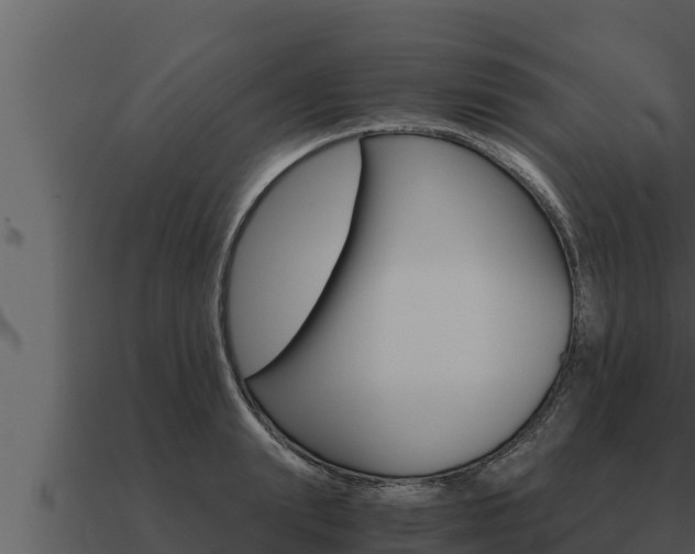 X0000091100847200708061020