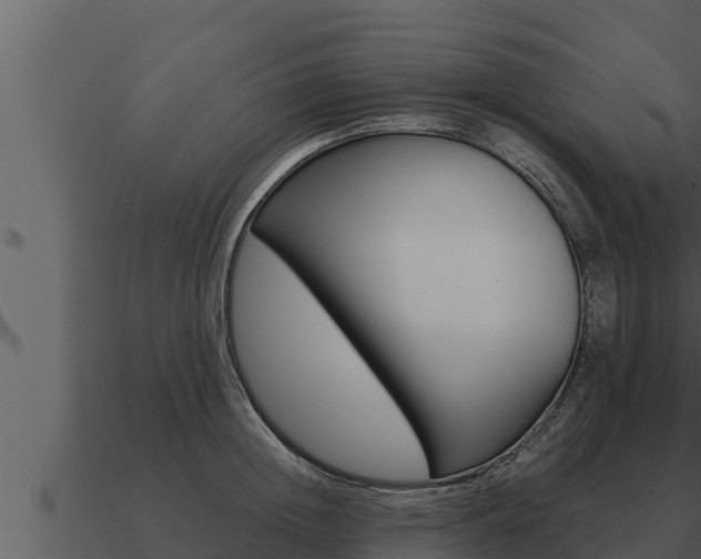 X0000091100852200708061020