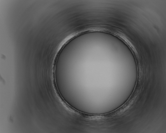 X0000091100853200708061020