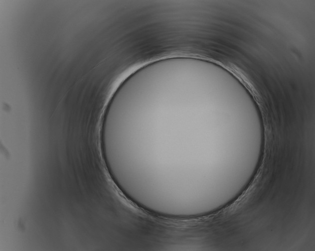 X0000091100854200708061020