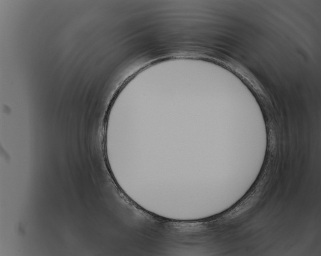 X0000091100856200708061020