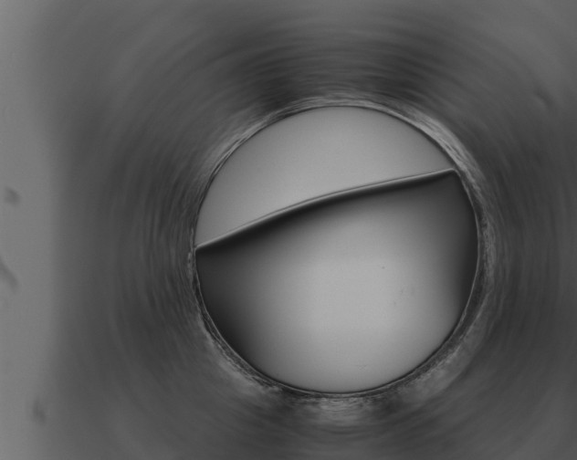 X0000091100857200708061020