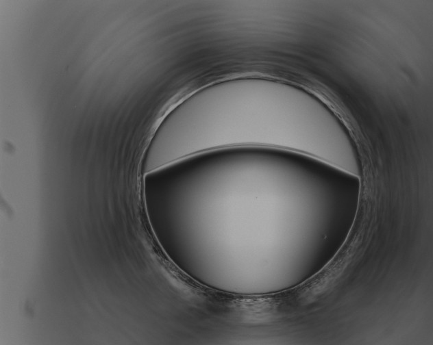 X0000091100858200708061020