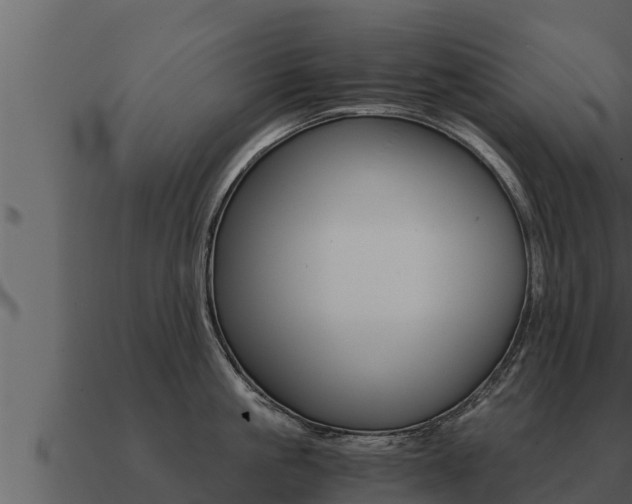 X0000091100861200708061021