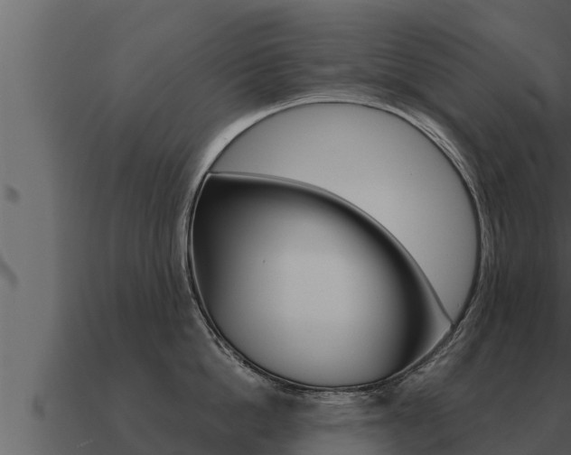 X0000091100862200708061021