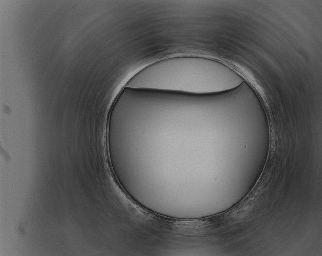 X0000091100863200708061021