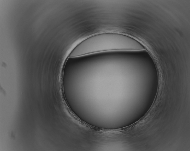 X0000091100864200708061021