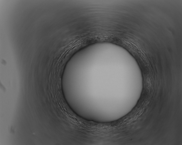 X0000091100865200708061020