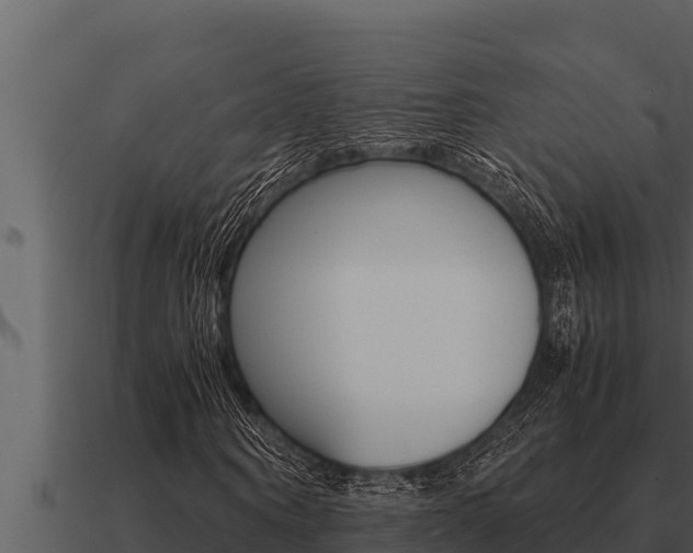 X0000091100866200708061020