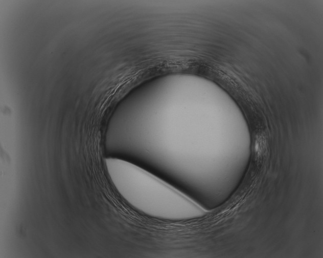 X0000091100867200708061020