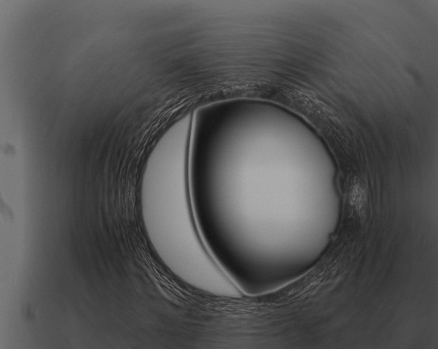 X0000091100868200708061020