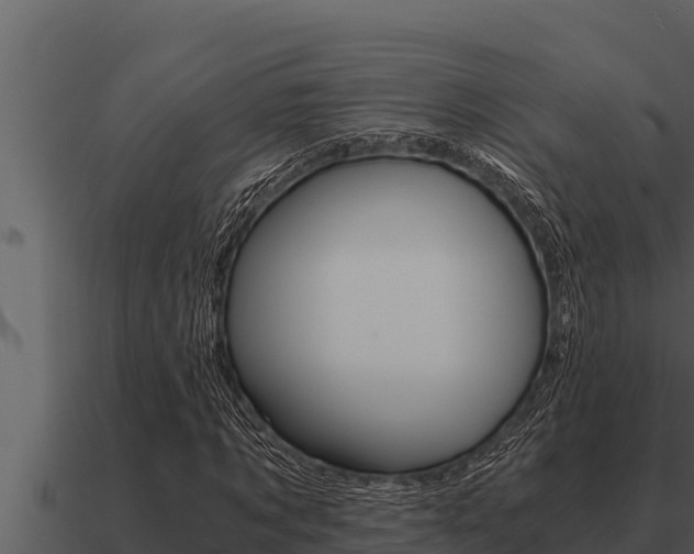 X0000091100869200708061020