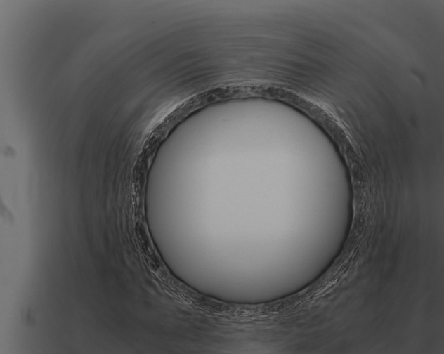 X0000091100871200708061020