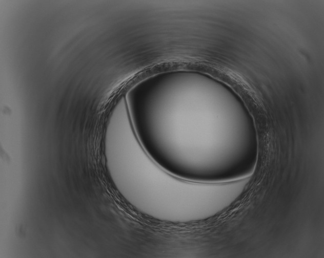 X0000091100872200708061020