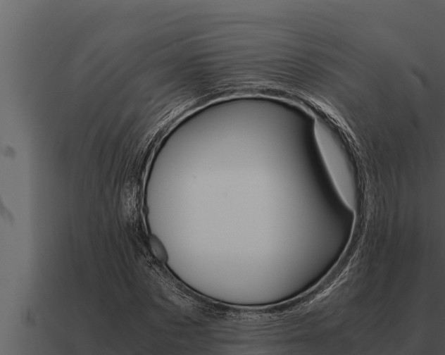X0000091100873200708061020