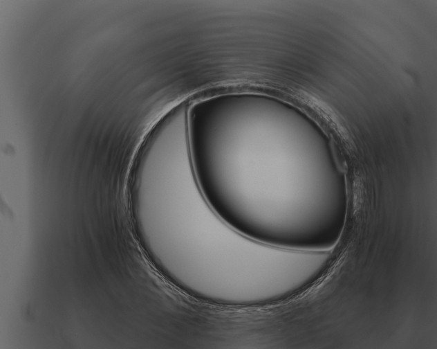 X0000091100876200708061020
