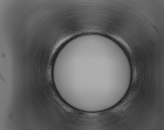 X0000091100878200708061020