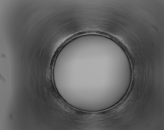 X0000091100879200708061020