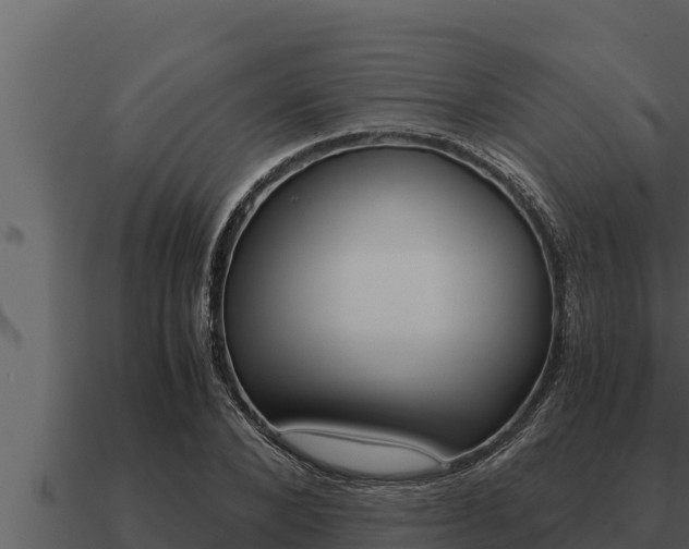 X0000091100880200708061020