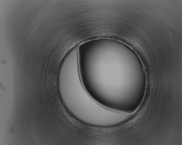 X0000091100881200708061020