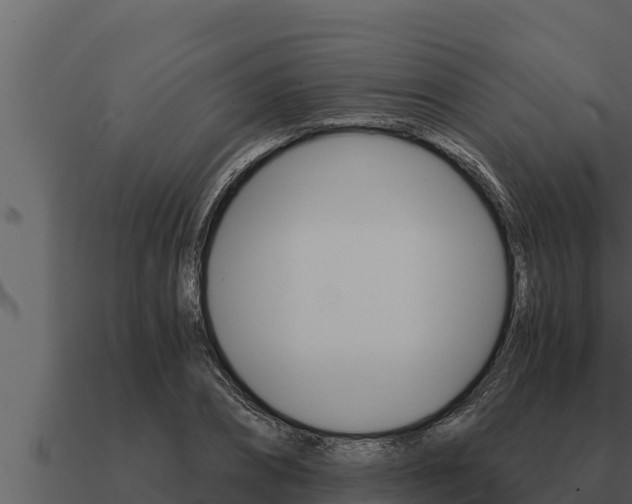 X0000091100882200708061020