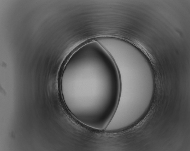 X0000091100884200708061019
