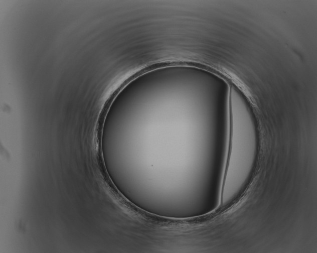 X0000091100885200708061019