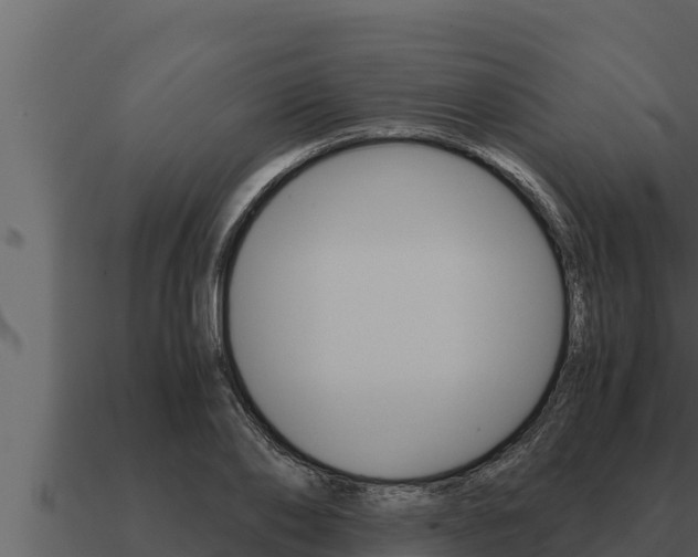 X0000091100886200708061019